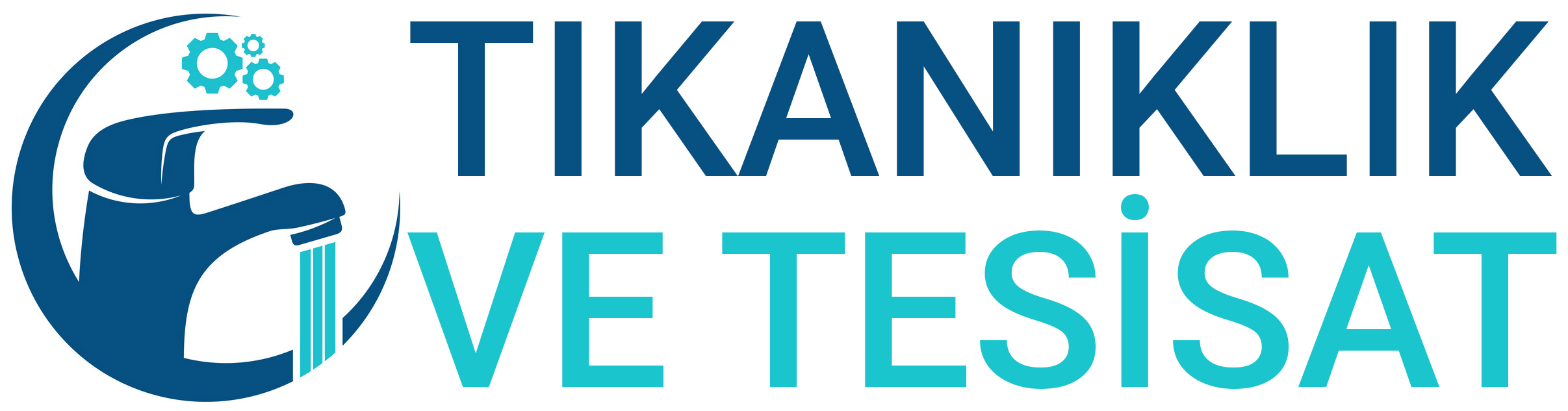 Hızlı Tıkanık Uzmanı